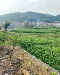 中欧体育登录入口-下一代都不回农村，还有必要回老家建房吗？说回农村建房人傻的，才是真不懂